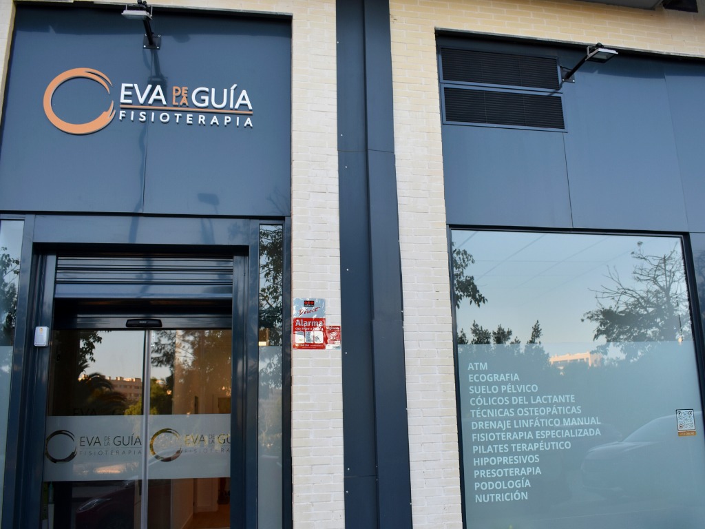 Entrada Fisioterapia Eva de la Guia